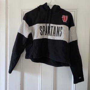 University of Tampa cropped sweatshirt